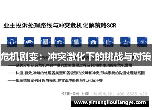 危机剧变：冲突激化下的挑战与对策